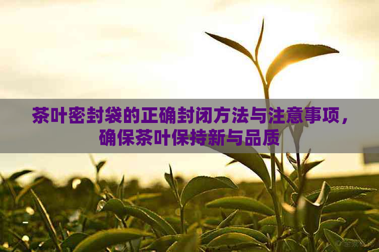 茶叶密封袋的正确封闭方法与注意事项，确保茶叶保持新与品质