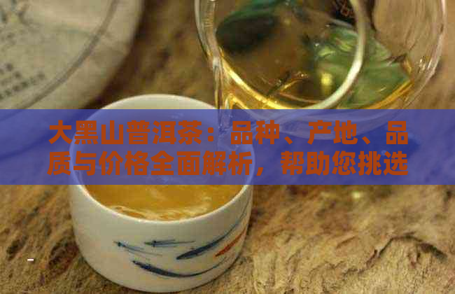 大黑山普洱茶：品种、产地、品质与价格全面解析，帮助您挑选合适的茶叶