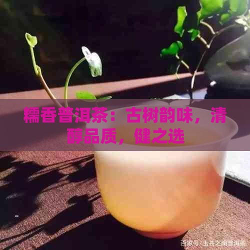 糯香普洱茶：古树韵味，清醇品质，健之选