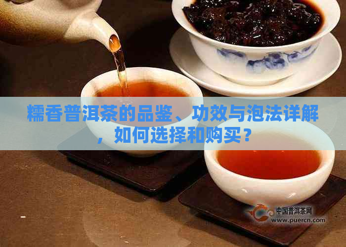 糯香普洱茶的品鉴、功效与泡法详解，如何选择和购买？