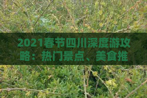 2021春节四川深度游攻略：热门景点、美食推荐与民俗体验全指南