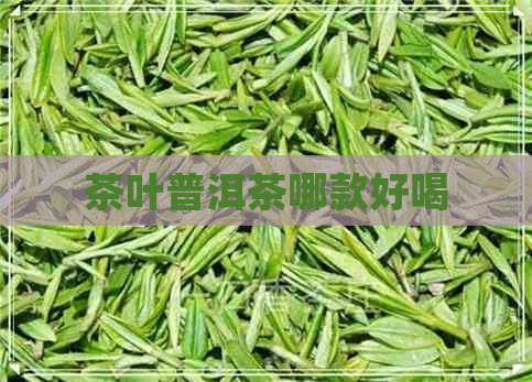 茶叶普洱茶哪款好喝