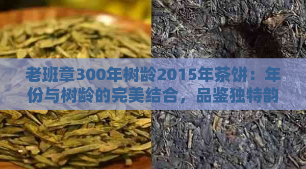 老班章300年树龄2015年茶饼：年份与树龄的完美结合，品鉴独特韵味