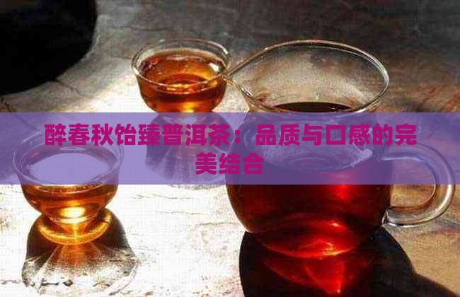 醉春秋饴臻普洱茶：品质与口感的完美结合