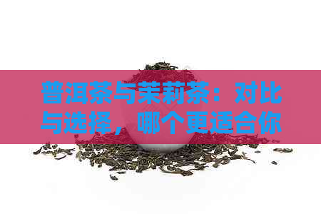 普洱茶与茉莉茶：对比与选择，哪个更适合你？