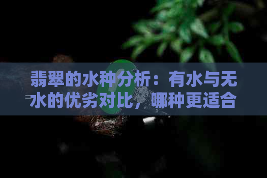 翡翠的水种分析：有水与无水的优劣对比，哪种更适合购买？