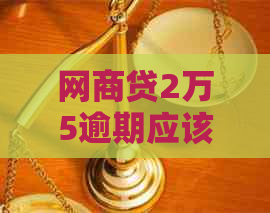 网商贷2万5逾期应该如何处理