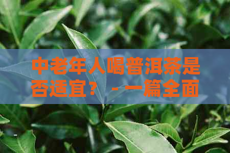 中老年人喝普洱茶是否适宜？ - 一篇全面解析的文章