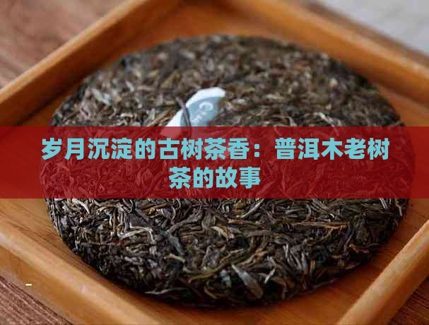 岁月沉淀的古树茶香：普洱木老树茶的故事