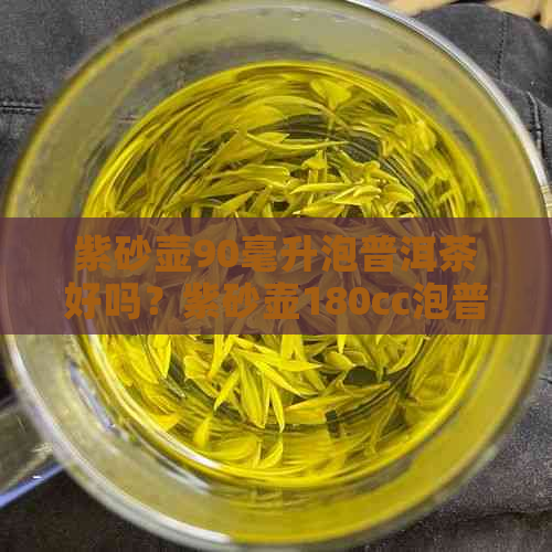 紫砂壶90毫升泡普洱茶好吗？紫砂壶180cc泡普洱茶量是多少？