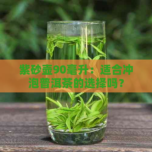 紫砂壶90毫升：适合冲泡普洱茶的选择吗？