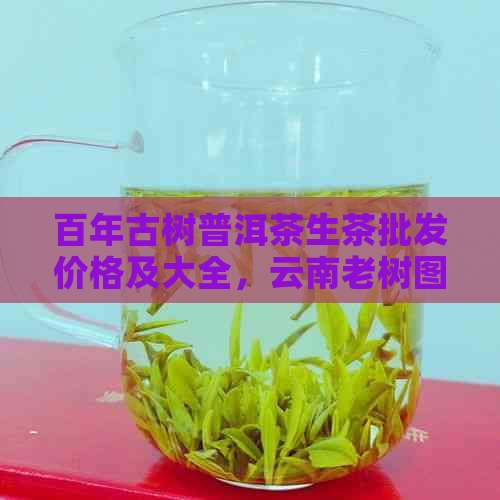 百年古树普洱茶生茶批发价格及大全，云南老树图片展示