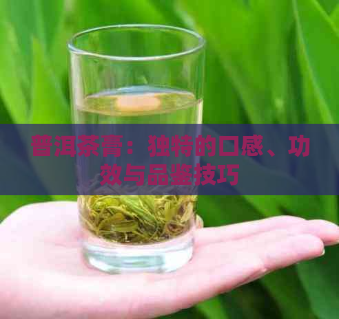 普洱茶膏：独特的口感、功效与品鉴技巧