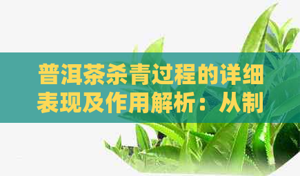 普洱茶杀青过程的详细表现及作用解析：从制作到品质的影响一文搞定