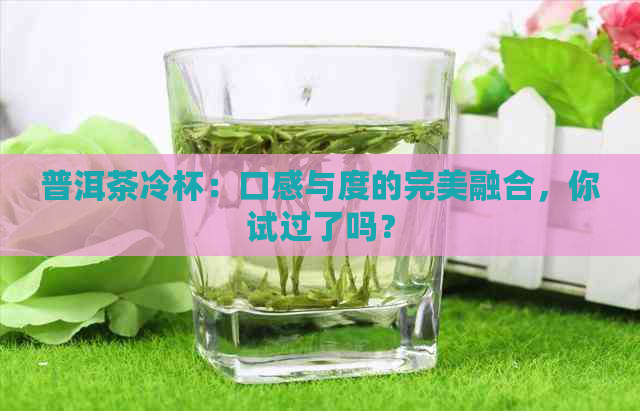 普洱茶冷杯：口感与度的完美融合，你试过了吗？