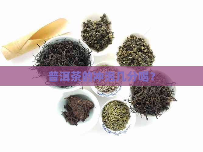 普洱茶的冲泡几分喝？