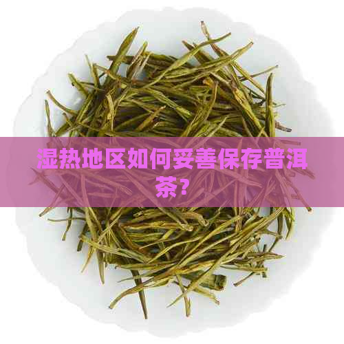 湿热地区如何妥善保存普洱茶？