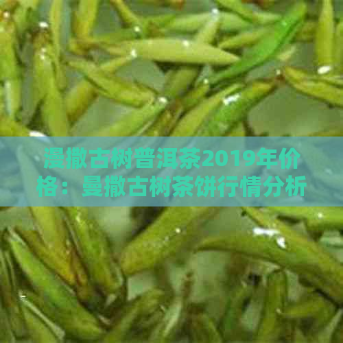 漫撒古树普洱茶2019年价格：曼撒古树茶饼行情分析