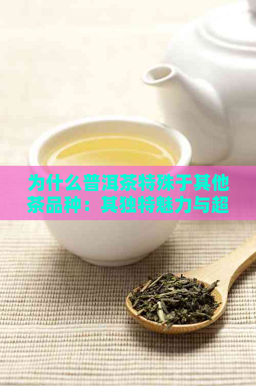 为什么普洱茶特殊于其他茶品种：其独特魅力与超越同类的原因