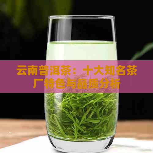 云南普洱茶：十大知名茶厂特色与品质分析