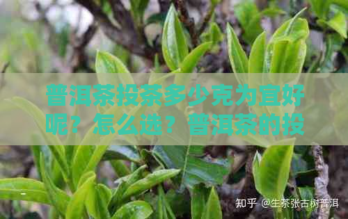 普洱茶投茶多少克为宜好呢？怎么选？普洱茶的投茶量是多少？