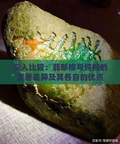 深入比较：翡翠棉与纯棉的显著差异及其各自的优点