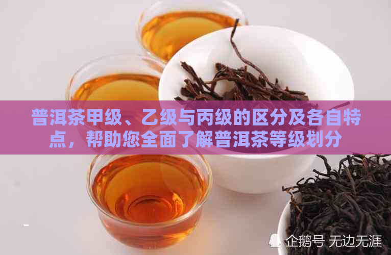 普洱茶甲级、乙级与丙级的区分及各自特点，帮助您全面了解普洱茶等级划分