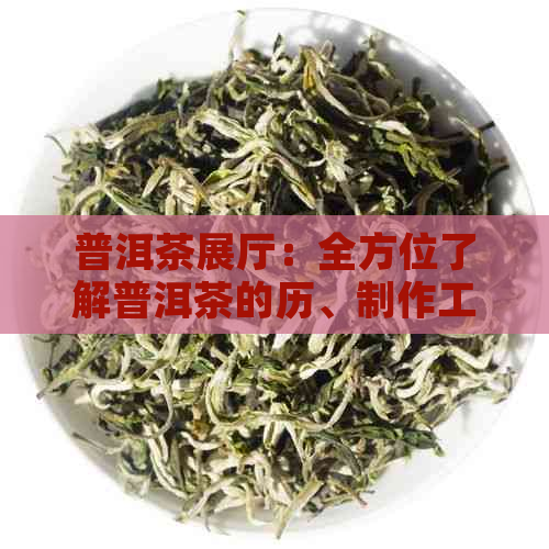 普洱茶展厅：全方位了解普洱茶的历、制作工艺、品鉴方法与收藏价值