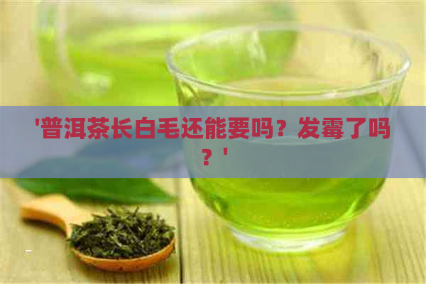 '普洱茶长白毛还能要吗？发霉了吗？'