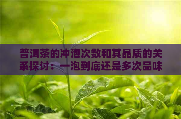 普洱茶的冲泡次数和其品质的关系探讨：一泡到底还是多次品味？