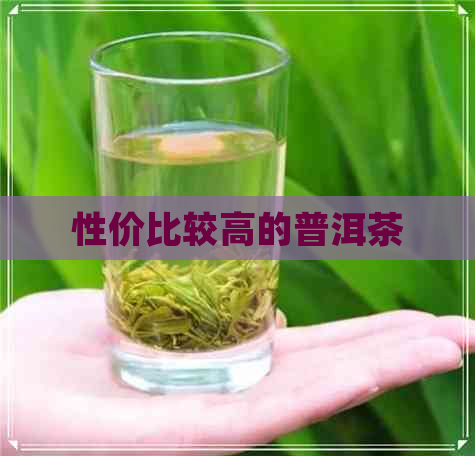 性价比较高的普洱茶