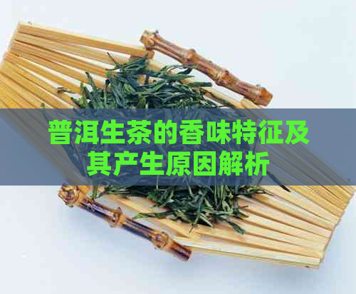 普洱生茶的香味特征及其产生原因解析