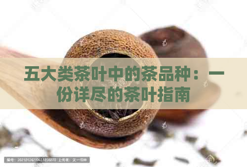 五大类茶叶中的茶品种：一份详尽的茶叶指南