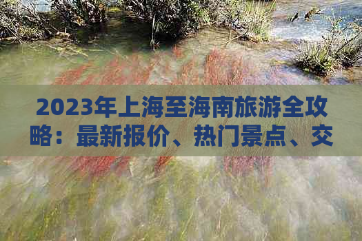 2023年上海至海南旅游全攻略：最新报价、热门景点、交通住宿一览