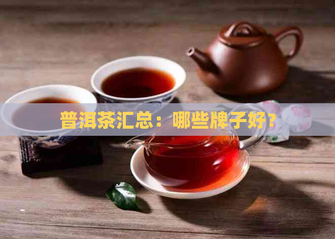 普洱茶汇总：哪些牌子好？