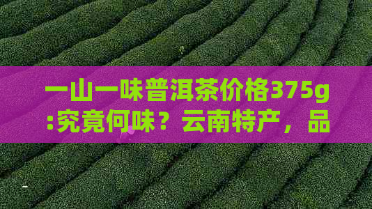 一山一味普洱茶价格375g:究竟何味？云南特产，品出独特风味！