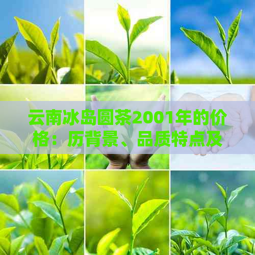 云南冰岛圆茶2001年的价格：历背景、品质特点及市场行情全面解析