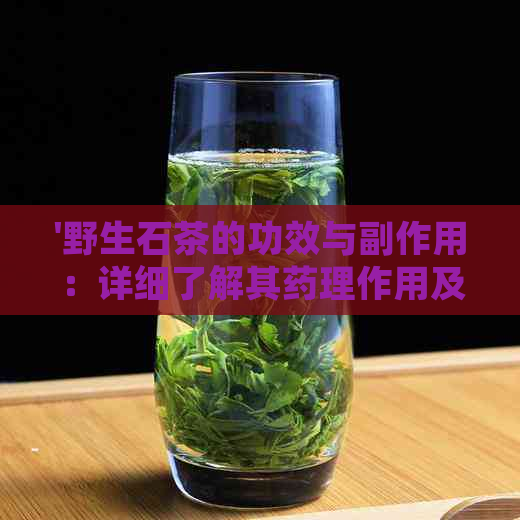 '野生石茶的功效与副作用：详细了解其药理作用及注意事项'