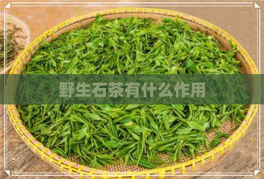 野生石茶有什么作用