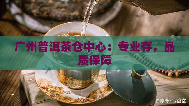 广州普洱茶仓中心：专业存，品质保障