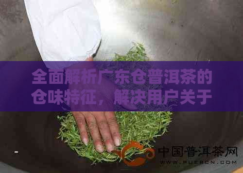 全面解析广东仓普洱茶的仓味特征，解决用户关于仓味的疑虑与困惑