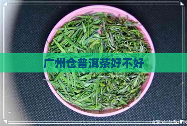 广州仓普洱茶好不好