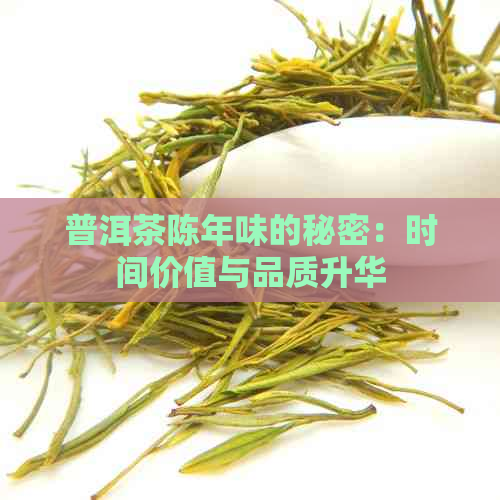 普洱茶陈年味的秘密：时间价值与品质升华