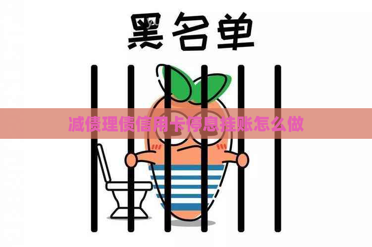 减债理债信用卡停息挂账怎么做