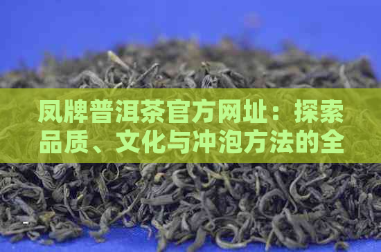 凤牌普洱茶官方网址：探索品质、文化与冲泡方法的全方位指南