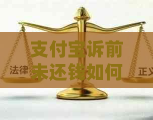 支付宝诉前未还钱如何处理