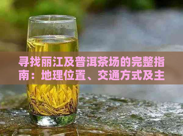 寻找丽江及普洱茶场的完整指南：地理位置、交通方式及主要商家信息