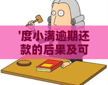 '度小满逾期还款的后果及可能的方式'