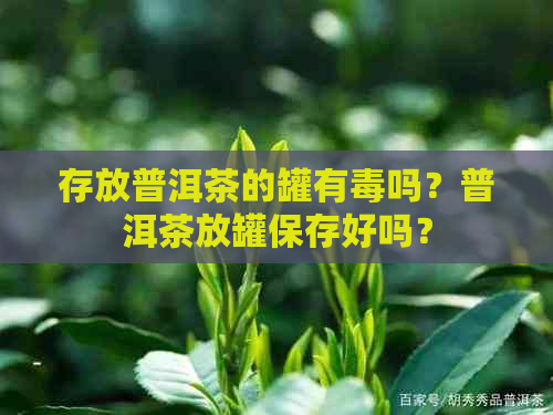 存放普洱茶的罐有吗？普洱茶放罐保存好吗？