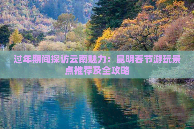 过年期间探访云南魅力：昆明春节游玩景点推荐及全攻略